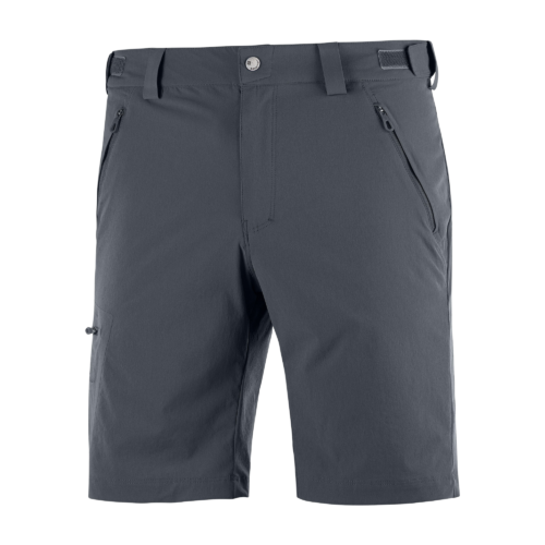 Salomon Shorts Wayfarer Men