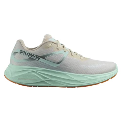 Salomon Shoes Men Aero Glide UK10