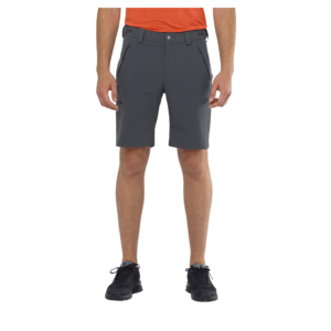 Salomon Shorts Wayfarer Men - Image 2