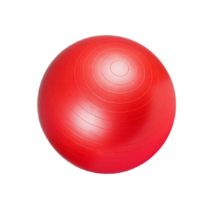 Wholstand Anti Burstgym 65 Cm 1200G
