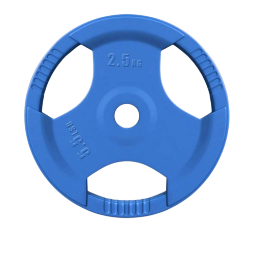 Wholstand Olympic Plate With Hand Grip