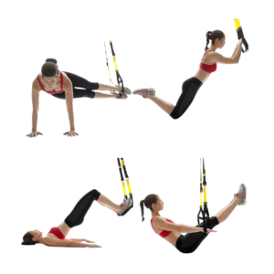 Lynx Suspension Trainer - Image 2
