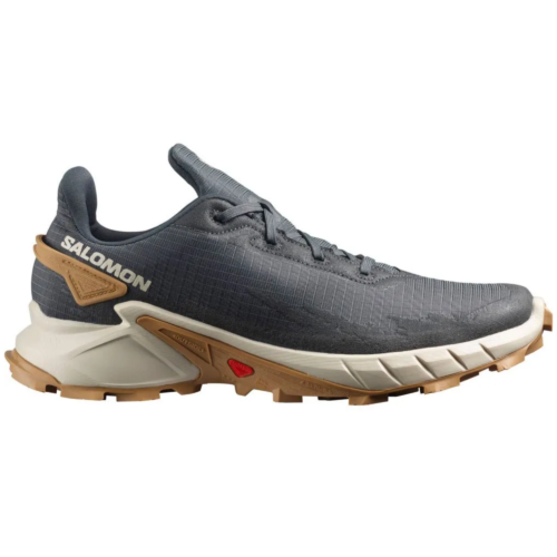 Salomon Shoes Alphacross 4 Men