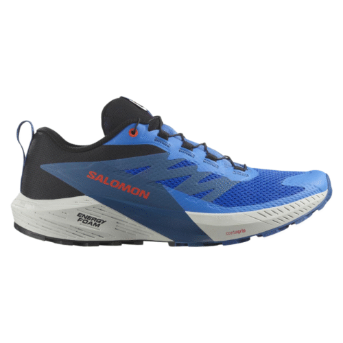 Salomon Shoes Sense Ride 5 French Blue Men