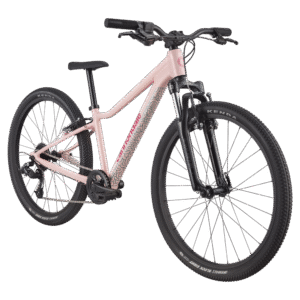 Cannondale Kids Trail 24'