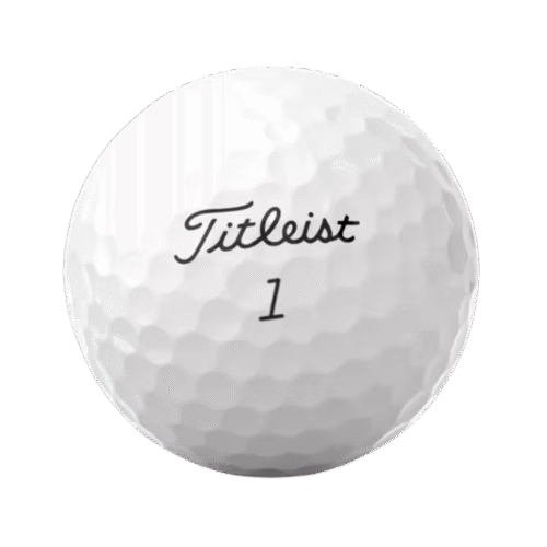 TITLEIST GOLF BALLS PRO V1