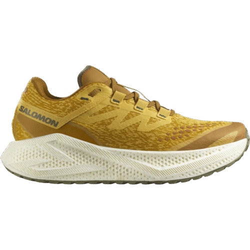 Salomon Shoes Aero Glide 3 GRVL Men