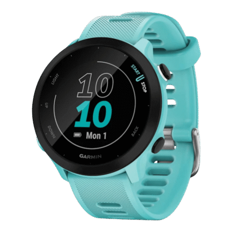 Garmin Watch Forerunner 55