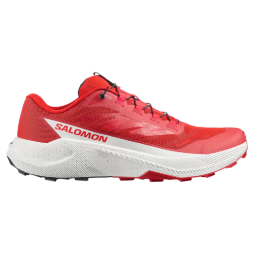 Salomon Shoes Pulsar Men