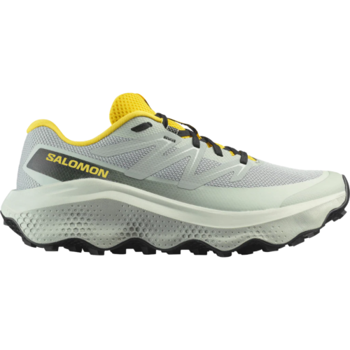 Salomon Shoes Ultra Flow 2 Men